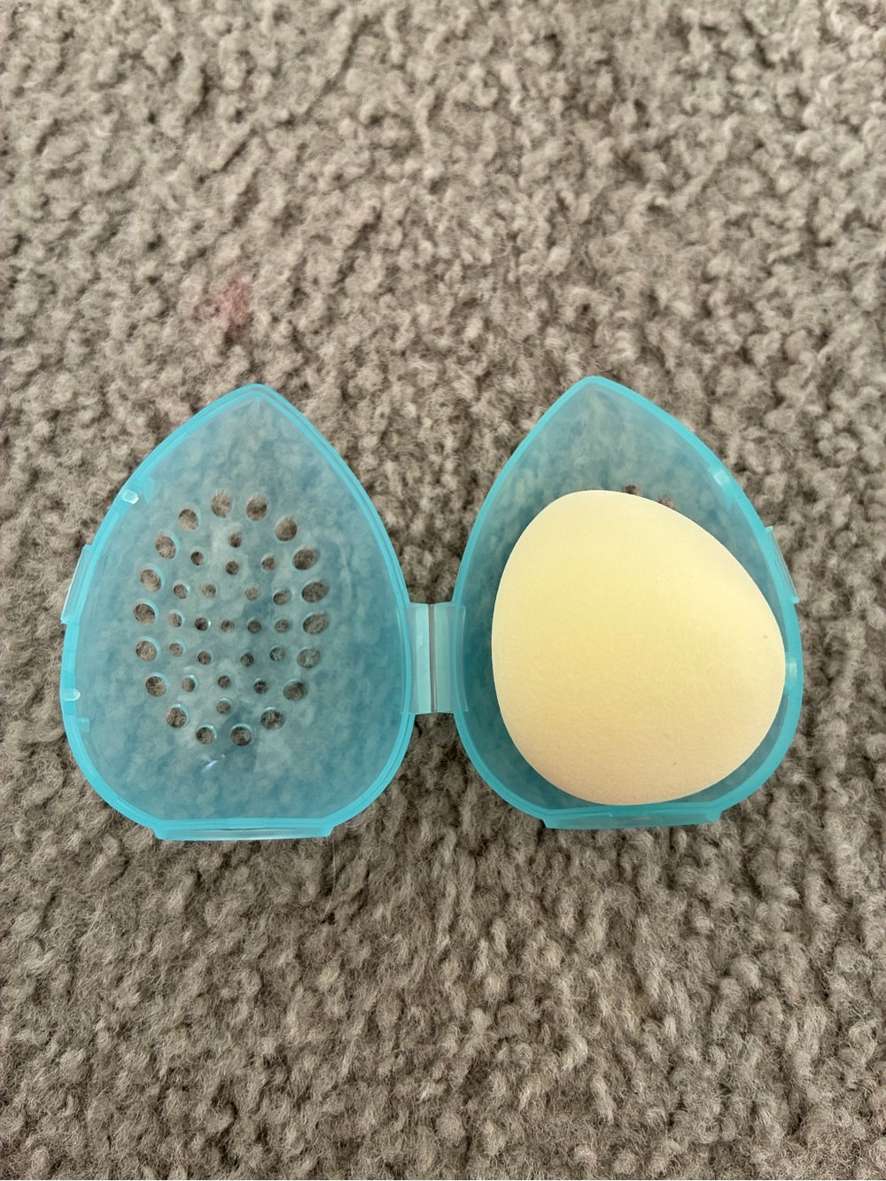 Face sponge and case